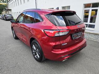 Ford Kuga 2.5 140kW 4x4 AWD ST-LINE -DPH SUV - Foto 5