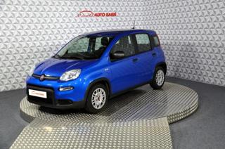 Fiat Panda Panda 1.0 BSG 70k E6.4 hatchback