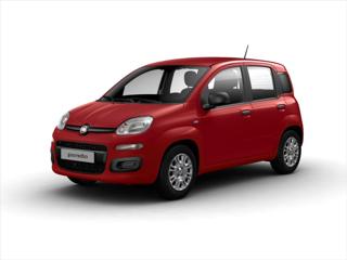 Fiat Panda 1,0 hatchback