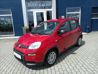 Fiat Panda FIREFLY 1.0  70k hatchback
