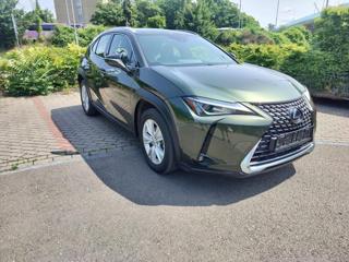 Lexus UX 250h 2.0 BUSINESS edition,alcantara hatchback