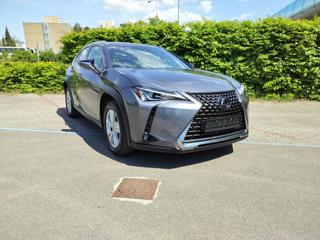 Lexus UX 250h 2.0 BUSINESS edition,alcantara hatchback
