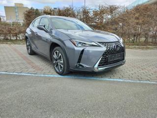 Lexus UX 250h 2.0 BUSINESS edition, kuže hatchback