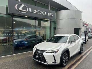 Lexus UX 300h 2.0   Prestige Plus SUV