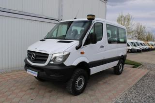 Mercedes-Benz Sprinter 313 CDI 4x4 IGLHAUT 9m+klima minibus