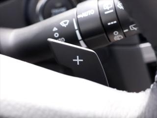 Subaru Outback 2,5 i 129kW Aut. AWD Kůže CZ kombi - Foto 15