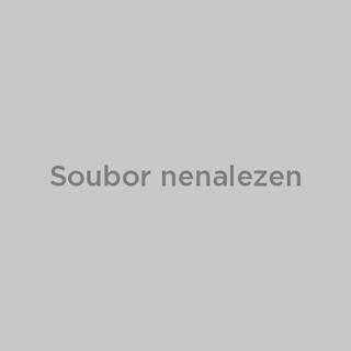 Volkswagen Tiguan 2.0 TDi SUV